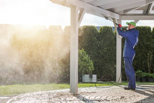 Solar Panel Cleaning in Jacksonville, TX